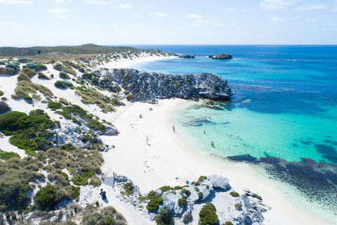 Discover Rottnest With Ferry & Bus Tour From Perth Or Fremantle - Southport Accommodation 5