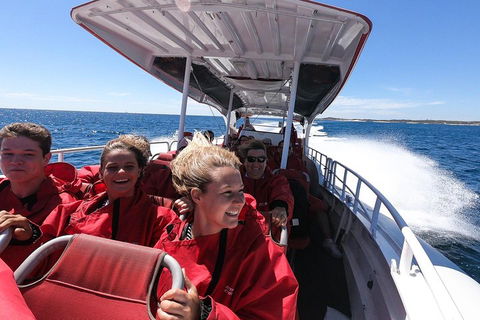 Adventure Rottnest Tour With Ferry & Adventure Cruise From Perth Or Fremantle - Southport Accommodation 0