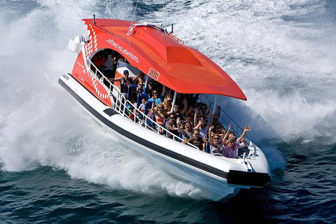 Adventure Rottnest Tour With Ferry & Adventure Cruise From Perth Or Fremantle - Southport Accommodation 2