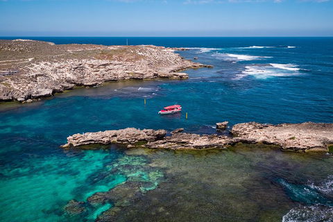 Adventure Rottnest Tour With Ferry & Adventure Cruise From Perth Or Fremantle - Southport Accommodation 3