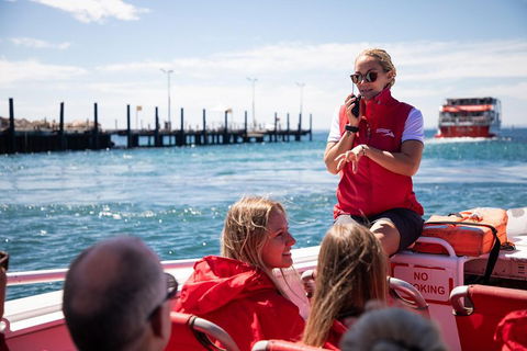 Adventure Rottnest Tour With Ferry & Adventure Cruise From Perth Or Fremantle - Southport Accommodation 4