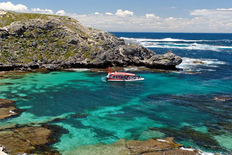 Adventure Rottnest Tour With Ferry & Adventure Cruise From Perth Or Fremantle - Southport Accommodation 5