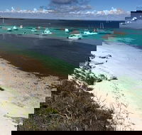 Experience Rottnest with Ferry  Bike Hire from Perth or Fremantle - Southport Accommodation