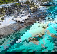 Rottnest Island Round-Trip Ferry from Perth or Fremantle - Southport Accommodation