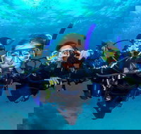 Great Barrier Reef Diving and Snorkeling Cruise from Cairns - Southport Accommodation