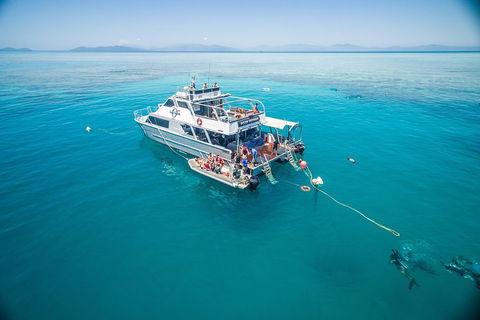 Ocean Freedom Great Barrier Reef Personal Luxury Snorkel & Dive Cruise, Cairns - Southport Accommodation 0