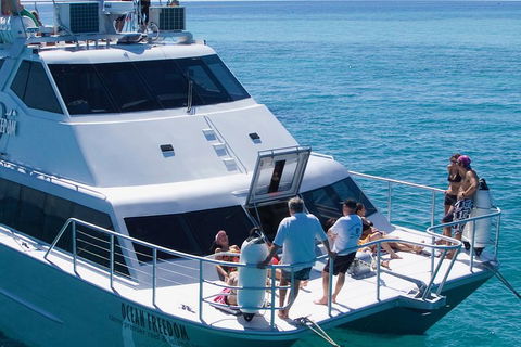 Ocean Freedom Great Barrier Reef Personal Luxury Snorkel & Dive Cruise, Cairns - Southport Accommodation 1
