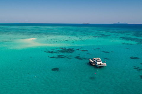 Ocean Freedom Great Barrier Reef Personal Luxury Snorkel & Dive Cruise, Cairns - Southport Accommodation 2