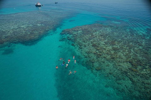 Ocean Freedom Great Barrier Reef Personal Luxury Snorkel & Dive Cruise, Cairns - Southport Accommodation 3