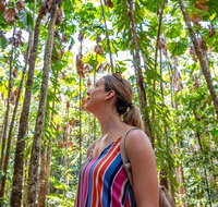 5 Day Australia Retreat Queensland Daintree - Southport Accommodation