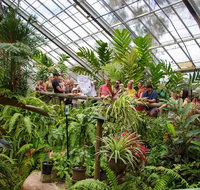 Australian Butterfly Sanctuary - Southport Accommodation