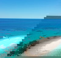Ocean Safari Great Barrier Reef Experience in Cape Tribulation - Accommodation Southport