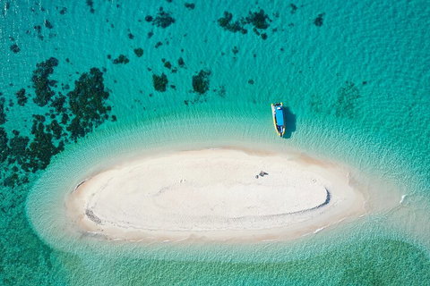 Ocean Safari Great Barrier Reef Experience In Cape Tribulation - Accommodation Southport 3