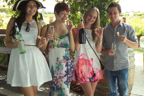 1/2 Day Swan Valley Wine Cheese & Chocolate Tour Inc Afternoon Cruise To Perth - Southport Accommodation 4