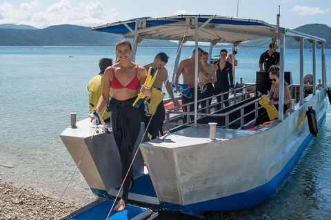 Fitzroy Island Day Trip From Cairns - Accommodation Southport 5