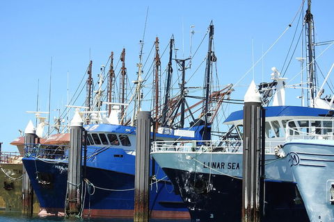 One Day Port Lincoln Tour - Tasting Eyre - Accommodation Southport 0