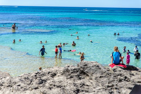 Rottnest Island Roundtrip Fast Ferry From Hillarys Boat Harbour - Southport Accommodation 1