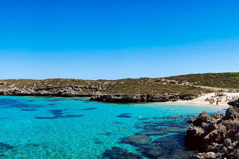 Rottnest Island Roundtrip Fast Ferry From Hillarys Boat Harbour - Southport Accommodation 4