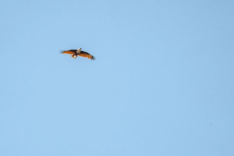 North Stradbroke Island Day Trip From Brisbane - Accommodation Southport 4