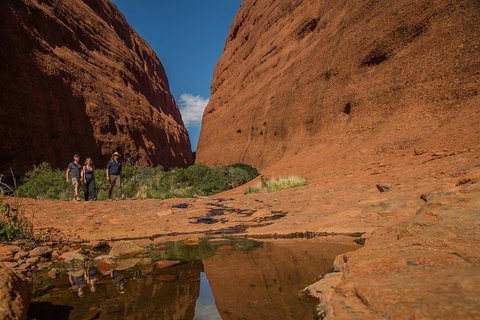 4 Day/3 Night Perentie Dreaming Safari - Accommodation Southport 3