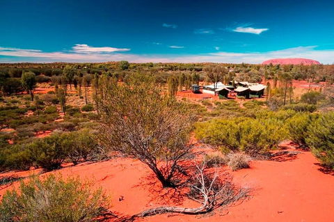 Overnight Uluru (Ayers Rock) Small-Group Camping Tour - Accommodation Southport 2