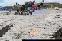 Book Viator Accommodation Vacations Southport Accommodation Southport Accommodation