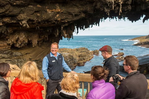 Kangaroo Island In A Day Tour From Adelaide - Southport Accommodation 3