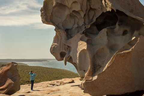 Kangaroo Island In A Day Tour From Adelaide - Southport Accommodation 5