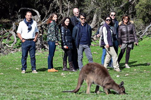 2-Day Kangaroo Island 4WD Small-Group Tour From Adelaide - Southport Accommodation 1