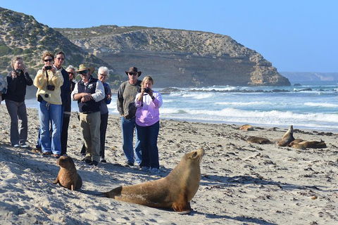 2-Day Kangaroo Island 4WD Small-Group Tour From Adelaide - Southport Accommodation 3