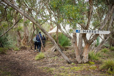 2-Day Kangaroo Island 4WD Small-Group Tour From Adelaide - Southport Accommodation 5