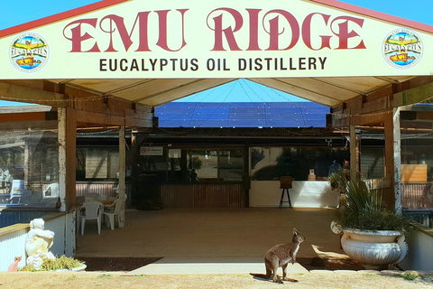 2 Day Ultimate Kangaroo Island With Return Ferry - Southport Accommodation 3