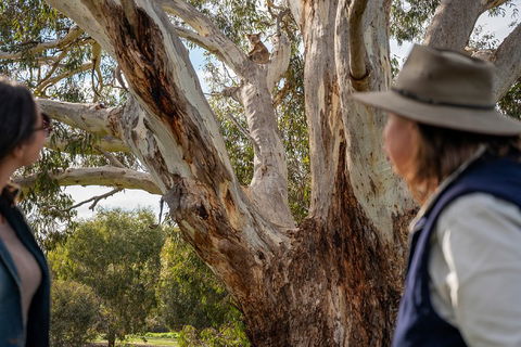 NEW TOUR - Kangaroo Island Road To Recovery Tour (1 Day/1 Night) - Southport Accommodation 0