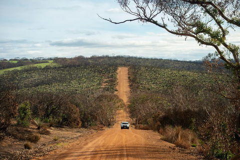 NEW TOUR - Kangaroo Island Road To Recovery Tour (1 Day/1 Night) - Southport Accommodation 2