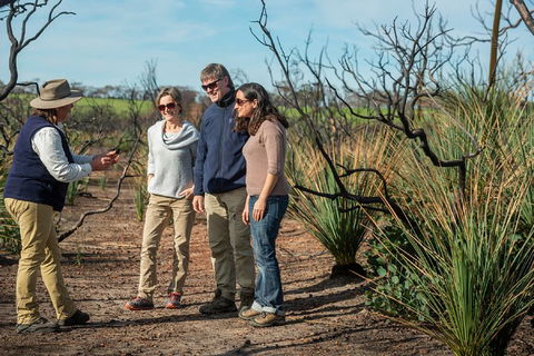 NEW TOUR - Kangaroo Island Road To Recovery Tour (1 Day/1 Night) - Southport Accommodation 4