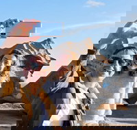 Full-Day Kangaroo Island Experience Departing from Kangaroo Island - Accommodation Southport