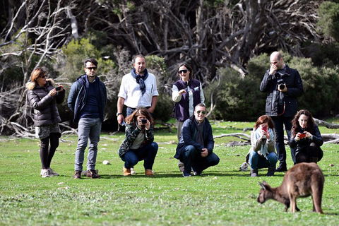 Small-Group Kangaroo Island 4WD Tour From Adelaide - Southport Accommodation 2