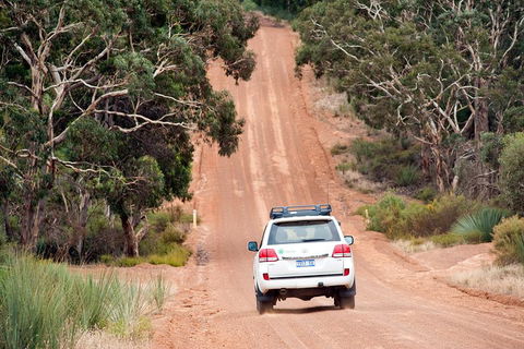 Small-Group Kangaroo Island 4WD Tour From Adelaide - Southport Accommodation 3
