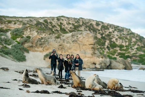 Small-Group Kangaroo Island 4WD Tour From Adelaide - Southport Accommodation 4