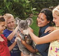 Kuranda Koala Gardens General Entry Ticket - Southport Accommodation