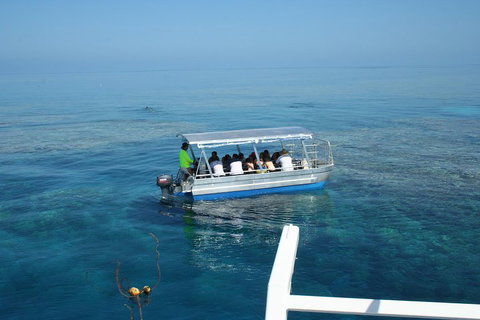 Seastar Luxury Outer Great Barrier Reef Island And Reef Tour From Cairns - Southport Accommodation 5