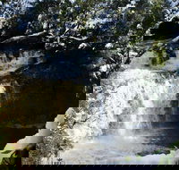 Cradle Mountain Day Tour from Launceston Including Lunch - Southport Accommodation