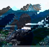 Cradle Mountain Park Explorer Guided Tour - Southport Accommodation