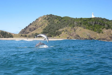 Kayaking With Dolphins In Byron Bay Guided Tour - Southport Accommodation 0
