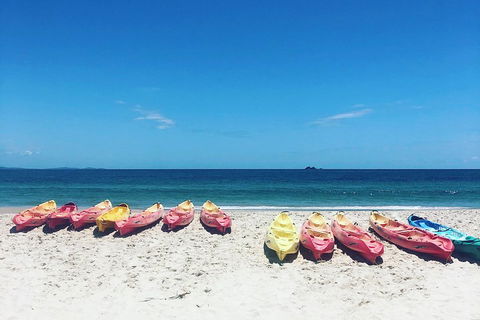 Kayaking With Dolphins In Byron Bay Guided Tour - Southport Accommodation 1