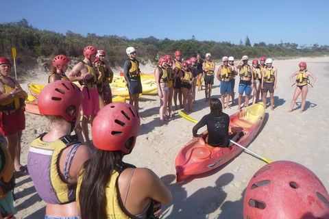 Kayaking With Dolphins In Byron Bay Guided Tour - Southport Accommodation 2