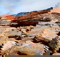 Broome City Sightseeing Tour with Optional Camel Ride - Southport Accommodation