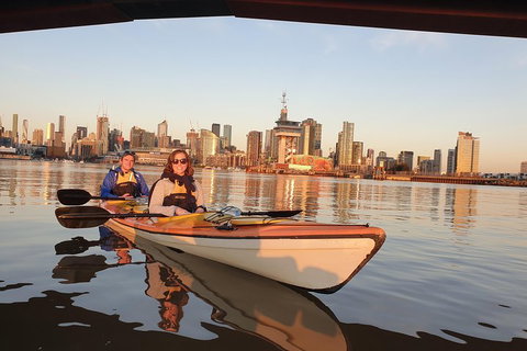Melbourne Sunset Kayaking Experience With Dinner - Accommodation Southport 3