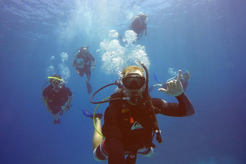 12-Day Great Barrier Reef Marine Conservation Program From Cairns - Southport Accommodation 0