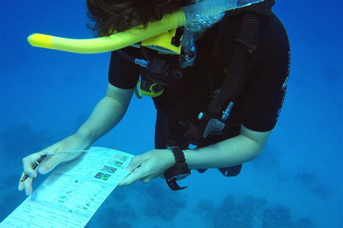 12-Day Great Barrier Reef Marine Conservation Program From Cairns - Southport Accommodation 2